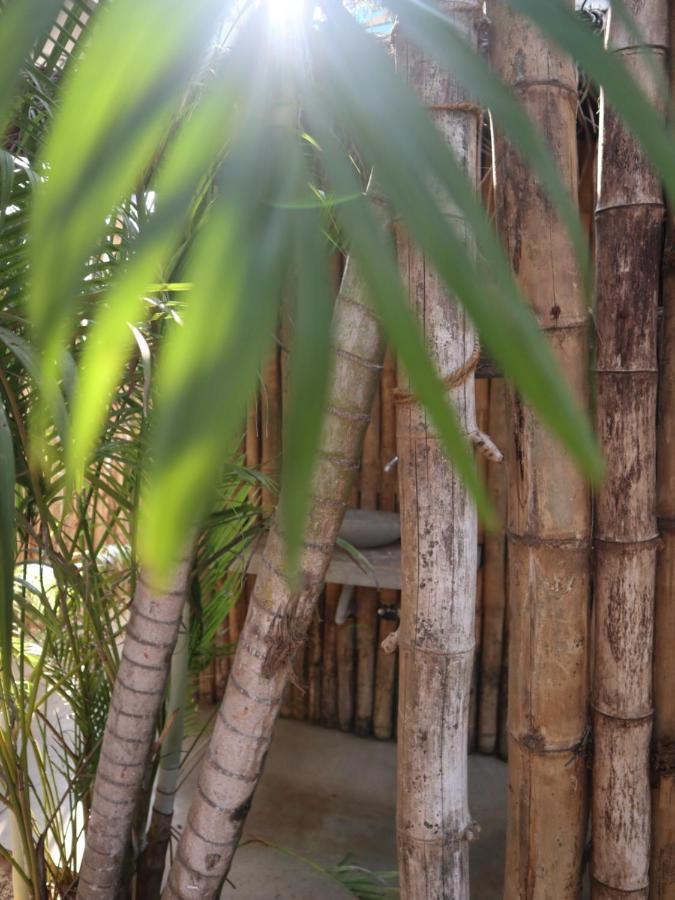 Steffi'S Mandala Hotel Hikkaduwa Esterno foto